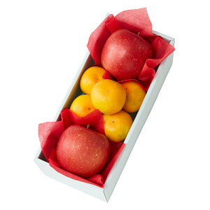  Vh Ε Mtg 蕨 t[c ݂  S j a j  HȂ݂񁕏{F #29100