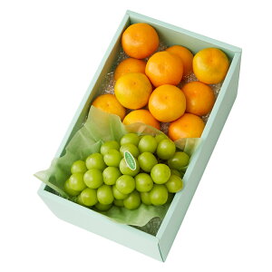  Vh Ε Mtg 蕨 t[c ݂ VC}XJbg j a j  HȂ݂񁕏{H #29100