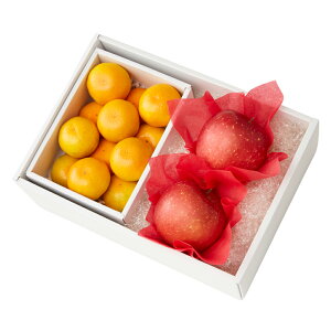  Vh Ε Mtg 蕨 t[c j a j  HȂ݂񁕏{K #29100