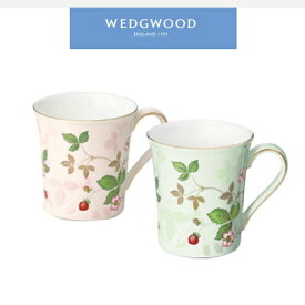 WEDGWOOD ウエッジウッドワイルドストロベリーパステルマグペアご挨拶 ギフト 出産内祝い 新築内祝い 快気祝い 結婚内祝い 内祝い お返し 披露宴引出物 卒業記念 記念品 母の日 入学内祝い 入学お祝い 就職お祝い