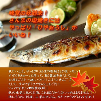 【秋限定】ひやおろし日本酒飲み比べセット純米吟醸酒入り720ml×3本高野酒造新潟辛口日本酒飲み比べセットお酒酒地酒清酒越路吹雪本醸造普通酒お祝い内祝いお返し還暦退職成人秋あがりお父さん誕生日プレゼント敬老の日ギフト2018送料無料