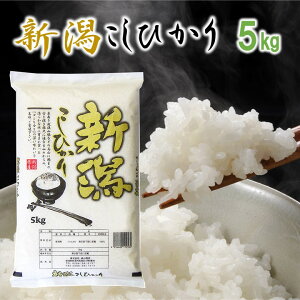 VЂ  5kg ߘa6NY   5kg 5L VYRVqJ VY RVqJ Ђ ꓙ uh Mtg v[g 蕨   j Ԃ ̂Ή V