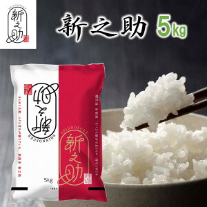 VV ̂  5kg ߘa6NY    R 5kg 5L VY VY ꓙ uh Vi V Mtg v[g 蕨   j Ԃ   oY w 