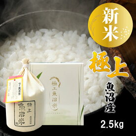 【新米 令和7年産】極上 魚沼米 魚沼産コシヒカリ 2.5kg ミニ 化粧箱入り 新潟県産 ギフト プレゼント 魚沼産 米 お米 白米 2.5キロ こしひかり 一等米 高級米 特Aランク ブランド米 お祝い 内祝い お礼 お返し 結婚 出産 入学 お歳暮 お年賀 新潟 細山商店