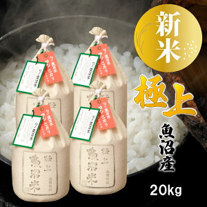 yV ߘa7NYzɏ  YRVqJ 20kg(5kg×4) ϔ Mtg v[g Y   Ђ  20L ꓙ  AN uh  j j 