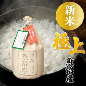 【新米 令和7年産】極上 魚沼米 魚沼産コシヒカリ 5kg 化粧箱入 ギフト プレゼント 魚沼産 米 お米 白米 5キロ こしひかり 魚沼コシヒカリ 一等米 高級米 特Aランク ブランド米 お祝い 内祝い 結婚 出産 入学 お歳暮 新潟 細山商店