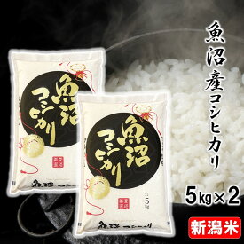 魚沼コシヒカリ 白米 10kg(5kg×2) 令和6年産 送料無料 米 お米 10キロ 魚沼産コシヒカリ 魚沼産 こしひかり 一等米 特Aランク 高級米 ブランド米 契約栽培 ギフト プレゼント 贈り物 贈答 お礼 内祝い お見舞い 結婚 出産 入学 卒業 新潟 細山商店