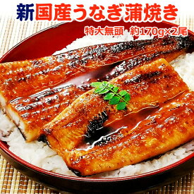 うなぎ 蒲焼き 約170g×2尾 鹿児島県産 化粧箱入り 送料無料 プレゼント ギフト ウナギ 鰻 国産 食べ物 海鮮 お取り寄せグルメ 贈り物 贈答用 お礼 お返し お祝い 内祝い お中元 御中元 土用の丑の日 新潟 岩松水産（※包装、のし名入れ対応不可）