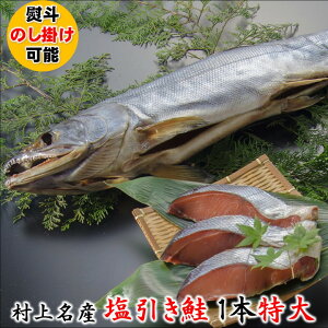 z㑺㖼Y  1{ TCY dオ 2.6kg ϔ  䒆 Mtg v[g   1  TP T[ Y ؂g  CN т̂ ̂ Ԃ j 