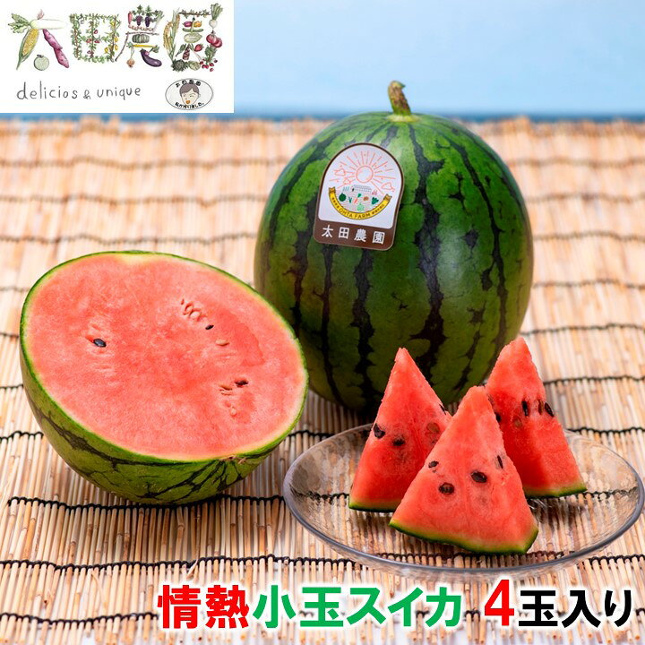 楽天市場 情熱小玉スイカ 姫甘泉 1 5kg前後 4玉 新潟産 送料無料 お中元 御中元 ギフト プレゼント スイカ すいか 西瓜 糖度13度 特別栽培認証 夏 暑さ対策 食べ物 果物 贈り物 贈答 お取り寄せ 産地直送 新潟県 太田農園 越後酒蔵 高野酒造 楽天市場店
