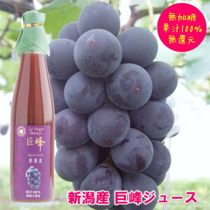 W[X 500ml ʏ`100% VY  Ҍ Xg[gW[X ԂǂW[X ʕW[X t[cW[X uhE   a j j  Ԃ Mtg v[
