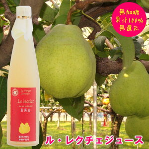 N`FW[X 500ml ʏ`100% VY  Ҍ Xg[gW[X mW[X ʕW[X t[cW[X  m a j j  Ԃ Mtg v[g 