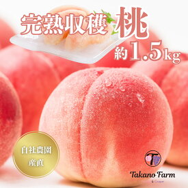 【2026年 先行予約販売】山梨 完熟収穫桃 約1.5kg Takano Farm 楽天ランキング1位 タカノファーム 自社農園栽培 (発送時期7月中旬～8月上旬) ギフト 山梨県産 4～6個入 【一部地域送料無料】果物 もも 農家直送 プレゼント 果物 フルーツ