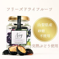 フリーズドライ ぶどう 藤稔 エアリーフルーツ 瓶 国産 ドライフルーツ 砂糖不使用 葡萄 ぶどう 山梨 ヨ…