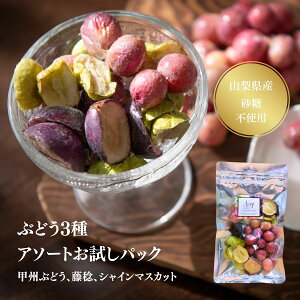 t[YhC ԂǂA\[g pbN Y GA[t[c t[YhC sgp hCt[c bB Ԃǂ  VC  RY 1000~ۂyCNXsA
