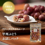 【定期購入15%OFF】フリーズドライ 甲州ぶどう(種あり) お試し 国産 エアリーフルーツ フリーズドライフ…