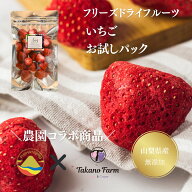 【期間限定10%OFF 定期購入15%OFF】フリーズドライ いちご 無添加 国産 お試し エアリーフルーツ フジハ…
