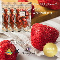 【期間限定10%OFF 定期購入15%OFF】フリーズドライ 無添加 いちご 大パック3袋セット ドライフルーツ 砂…