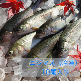 ニジマス にじます 虹鱒 マス 川魚 BBQ 新潟 魚沼 送料無料 ギフト 塩焼き 冷凍 10尾セット 食材 鱒 鮮魚