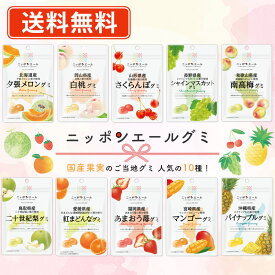 全農 ニッポンエールグミ ご当地グミ 人気の種類　アソート10袋セット（40g×各1袋） グミ 国産果汁 夕張メロン シャインマスカット マンゴー【送料無料/メール便】