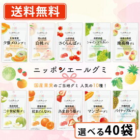 エントリーしてポイント最大9倍★2月24日20時スタート！ニッポンエールグミ ご当地グミ 人気の10種類から選べる40袋セット (10袋単位) グミ 国産果汁 夕張メロン シャインマスカット マンゴー【送料無料(一部地域を除く)】