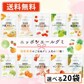 エントリーしてポイント最大9倍★2月24日20時スタート！全農 ニッポンエールグミ ご当地グミ 人気の10種類から選べる20袋セット (10袋単位) グミ 国産果汁 夕張メロン シャインマスカット マンゴー【送料無料(一部地域を除く)】