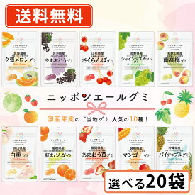 全農 ニッポンエール ご当地グミ 人気の10種類から選べる20袋セット (10袋単位) グミ 国産果汁 夕張メロン シャインマスカット マンゴー【送料無料(一部地域を除く)】