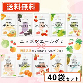 ニッポンエールグミ ご当地グミ 人気の10種類から選べる40袋セット (10袋単位) グミ 国産果汁 夕張メロン シャインマスカット マンゴー【送料無料(一部地域を除く)】