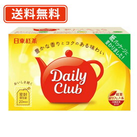 日東紅茶 デイリークラブ 40g（20袋）×48箱　ティーバック　【送料無料(一部地域を除く)】