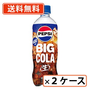Tg[ yvV  BIG COLA 600mlPET×48{i24{×2P[XjR[@yvVy(ꕔn)z