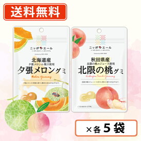 エントリーしてポイント最大9倍★2月24日20時スタート！【訳ありアウトレット】全農 ニッポンエールグミ ご当地グミ 人気の2種類10袋セット（各5袋）グミ 国産果汁 夕張メロン 桃【送料無料/メール便】