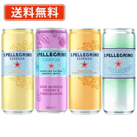 超ポイントバック祭り★2月14日10時スタート！サンペレグリノ エッセンザ スパークリングドリンク 選べる330ml×48本(2ケース) 炭酸水 無糖 日仏貿易【送料無料(一部地域を除く)】