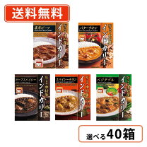 楽天市場】新宿中村屋 インドカリー 5個の通販