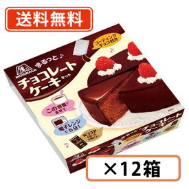 森永 チョコレートケーキセット 205g×6個×2ケース【送料無料(一部地域を除く)】