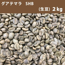 コーヒー 生豆 グアテマラ SHB 2kg 【送料無料(一部地域を除く)】