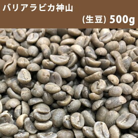 【送料無料】メール便 コーヒー 生豆 バリアラビカ神山 500g(250g×2)【同梱不可】