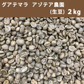 コーヒー 生豆 グアテマラ アゾテア農園 2kg【送料無料(一部地域を除く)】