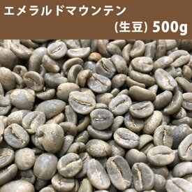 【送料無料】メール便 コーヒー 生豆 エメラルドマウンテン 500g【同梱不可】