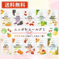 全農 ニッポンエール ご当地グミ 人気の10種類セット（40g×各1袋） グミ 国産果汁 夕張メロン シャイン…