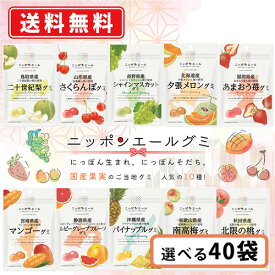 ニッポンエール ご当地グミ 人気の10種類から選べる40袋セット (10袋単位) グミ 国産果汁 夕張メロン シャインマスカット マンゴー【送料無料(一部地域を除く)】