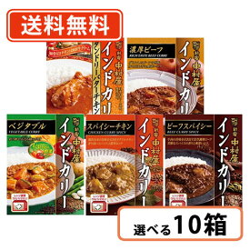 新宿中村屋 インドカリー 5種類から選べる 10箱セット(5箱単位) カレー ビーフスパイシー ベジタブル バターチキン　【送料無料(一部地域を除く)】