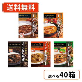 新宿中村屋 インドカリー 5種類から選べる 40箱セット(5箱単位) カレー ビーフスパイシー ベジタブル バターチキン　【送料無料(一部地域を除く)】