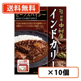 新宿中村屋 インドカリー ビーフスパイシー 200g×10個カレー レトルトカレー curry ビーフカレー スパイス 電子レンジ調理可【送料無料(一部地域を除く)】