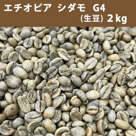 コーヒー 生豆 エチオピア モカ シダモ G4　2kg 【送料無料(一部地域を除く)】