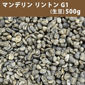 コーヒー 生豆 マンデリン リントン G1　500g 【送料無料/メール便】