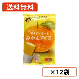 【エントリーしてポイント5倍！】7月4日20時〜7月11日1時59分まで☆凍らせて食べる みかんアイス (70g×4P)×12袋 谷尾食糧工業 国産 みかん アイス　【送料無料(一部地域を除く)】