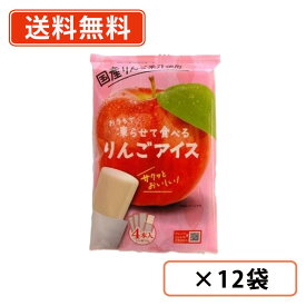 エントリーしてポイント最大9倍！12月4日20時スタート☆凍らせて食べる りんごアイス (70g×4P)×12袋 谷尾食糧工業 国産 りんご アイス　【送料無料(一部地域を除く)】