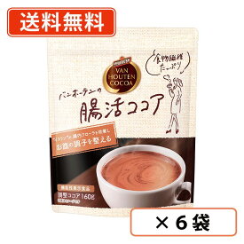 バンホーテン　腸活ココア　160g×6袋　ココア 腸活 イヌリン　腸内フローラ　ビフィズス菌　【送料無料(一部地域を除く）】