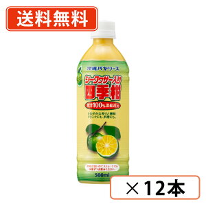 o[X V[NT[ lG100% 500mlPET×12{ V[N[T[  y(ꕔnjz