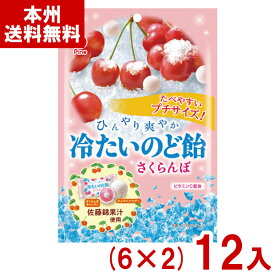 パイン 60g 冷たいのど飴さくらんぼ (6×2)12入 (期間限定 のどあめ のどケア 飴 キャンディ 個包装 お菓子 お菓子 景品) (Y80) (本州送料無料)
